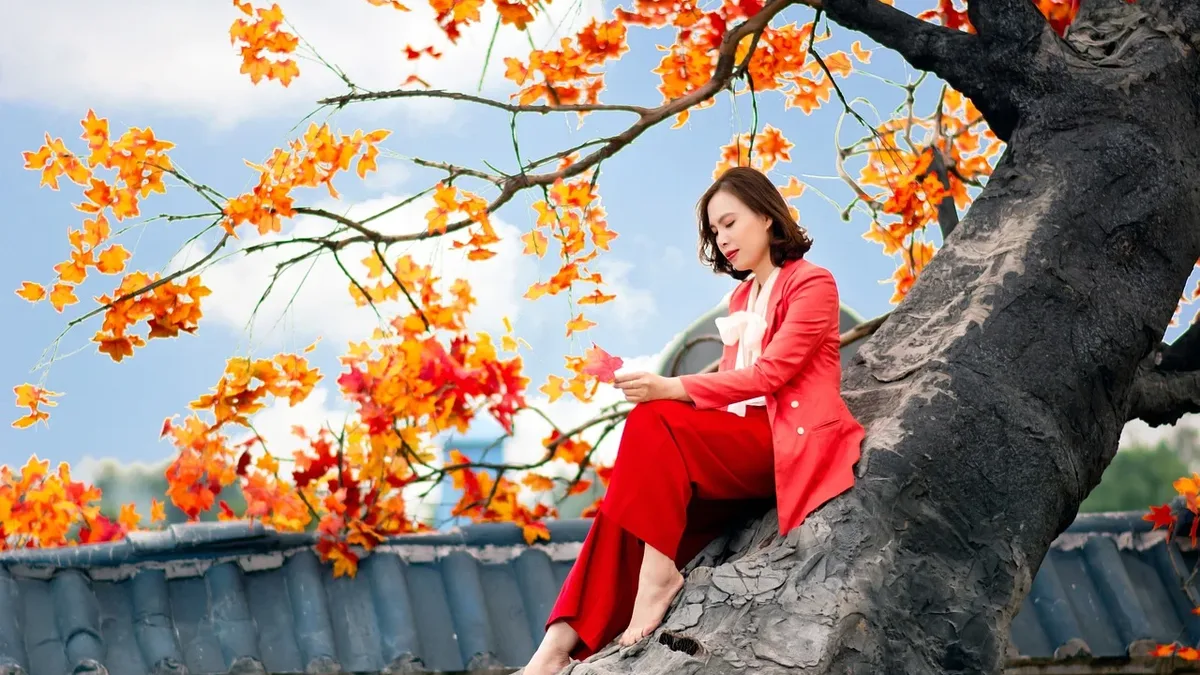 The Book Trade: Amanda Peters will publish her second novel, 'The Birthing Tree,' with Catapult in September