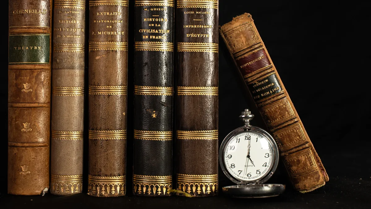 Colin Burrow's essay details the decline of literary criticism, citing university cuts, falling student numbers, and a...