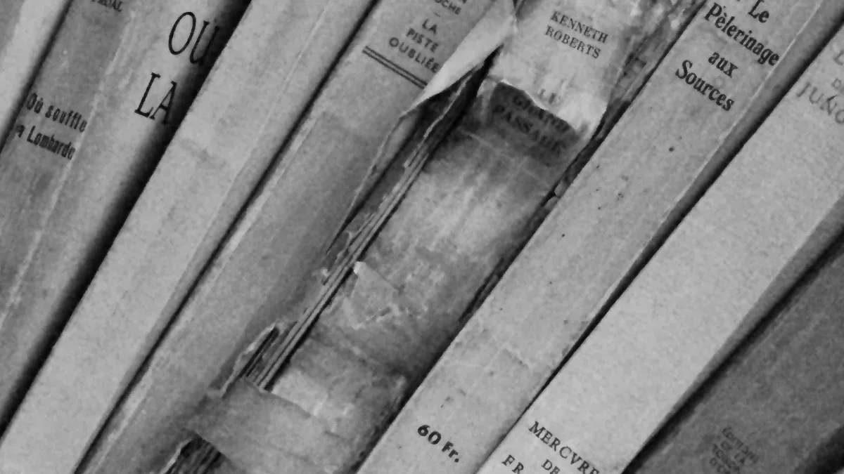 The Prix Rive Gauche has announced its 2026 selections for French novels, foreign novels and literary magazines, marking...