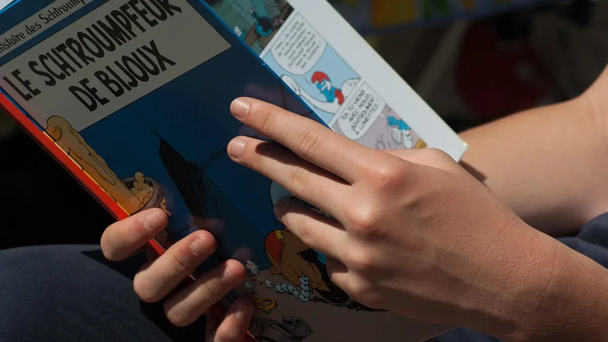 Lifestyle: The jury for the tenth Prix Vendredi has selected ten French-language books for readers aged 13-18