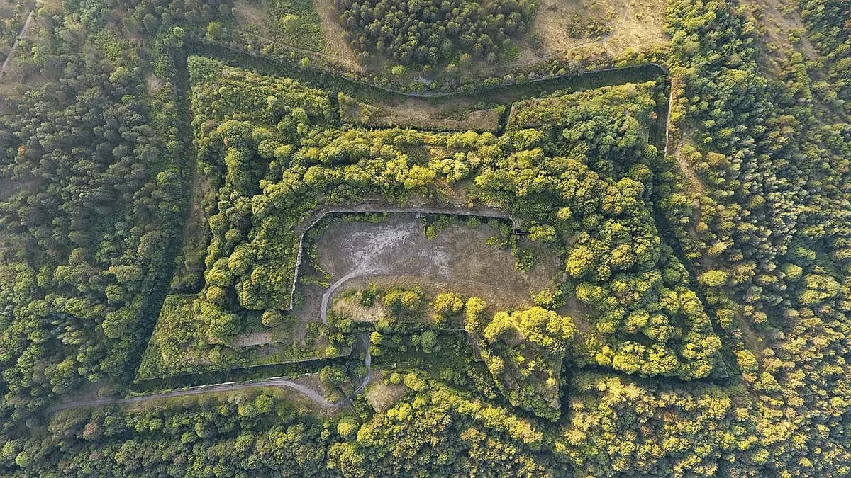Aerial laser surveys by the University of Cambridge have mapped over six million trees in Scotland's Cairngorms National...