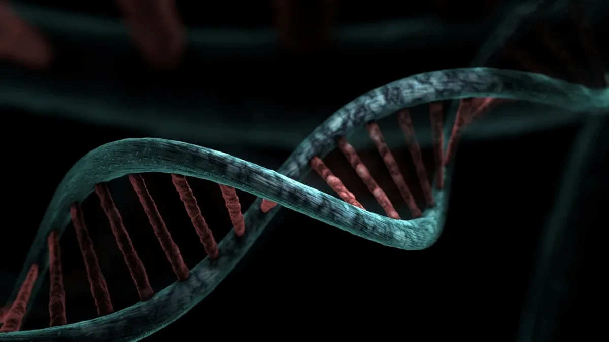 A genomic study of long-lived Myotis bats reveals strong links between lifespan, immune function, and strategies for...