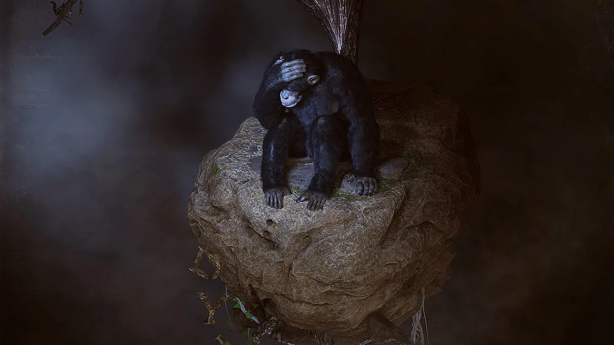 Wild western chimpanzees in Guinea-Bissau have been repeatedly throwing rocks at specific trees for more than ten years...
