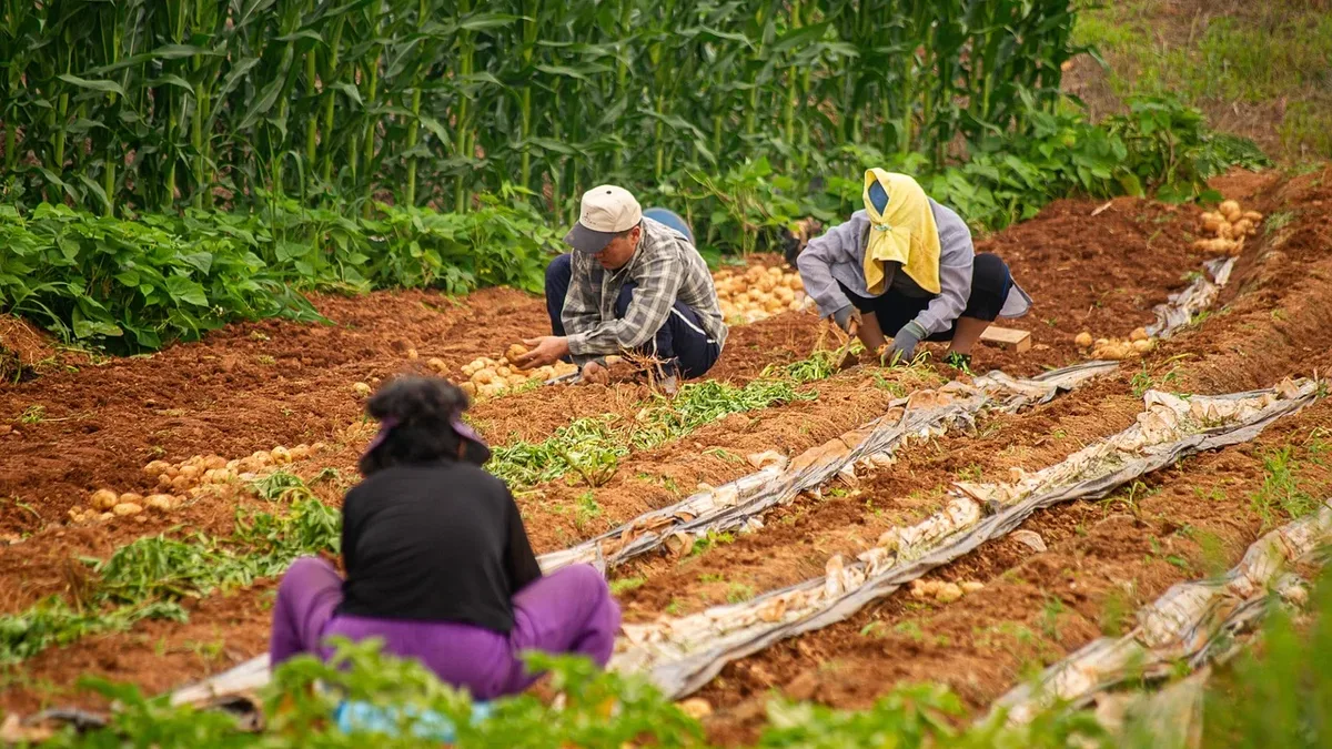 Henry Astor of Bruern Farms is restoring biodiversity by planting heritage wheat and wildflower meadows, attracting...
