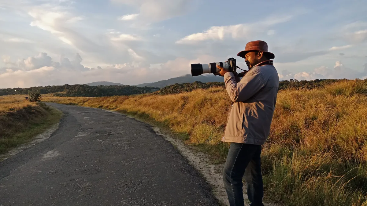 A rare bird species has been spotted in the UK, providing a unique opportunity for bird enthusiasts to observe the species...