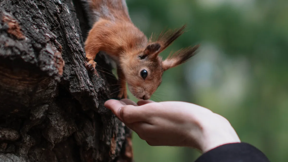New research suggests that the human family tree may need a major rewrite, with some scientists arguing that certain species...