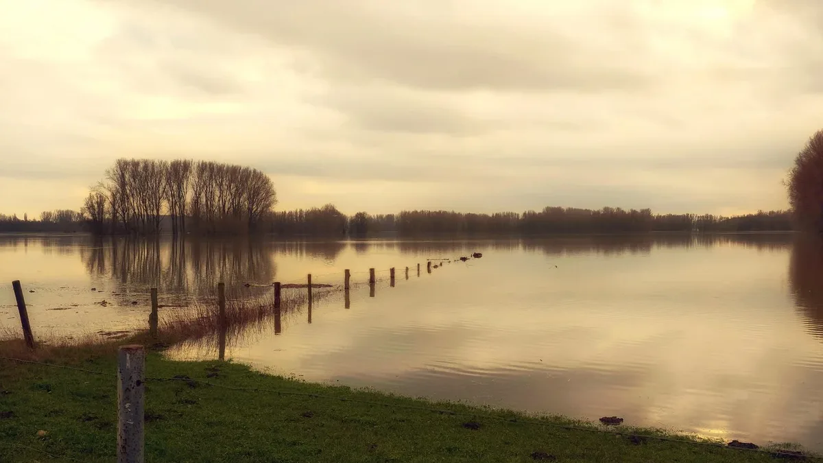 Rewilding Europe advocates restoring natural processes to build climate-resilient landscapes, citing wetland restoration...