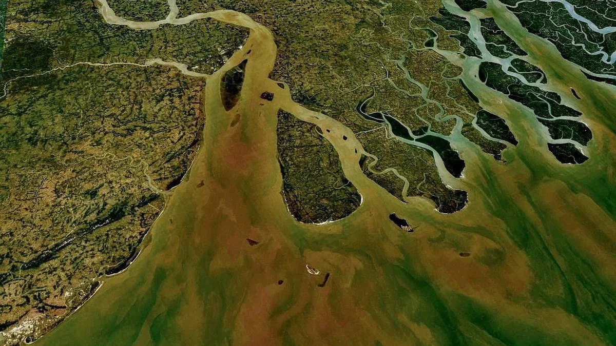 Rewilding Europe has begun large-scale wetland restoration at the 800-hectare Ultima Frontiera site in Romania's Danube...