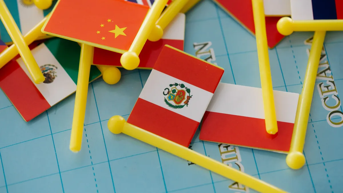 An Atlantic Council fellow argues the G20 must use positive economic tools like favorable tariffs and export credits...