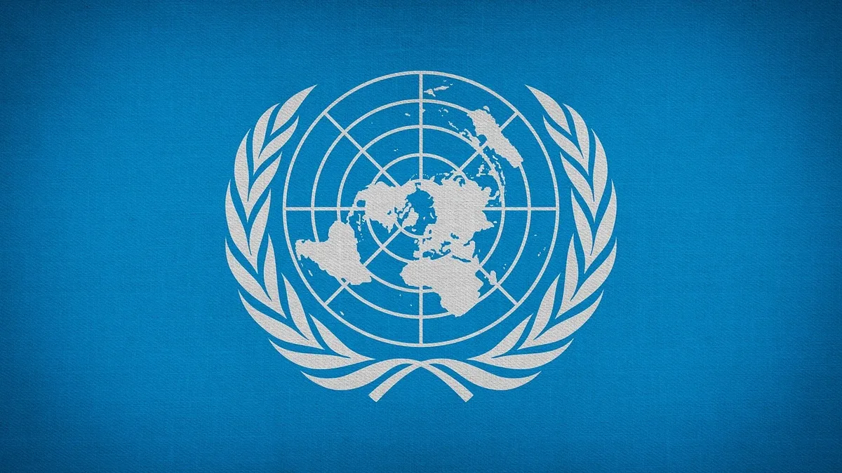 The UN General Assembly has approved the merger of UNITAR and UNSSC to form the United Nations Institute for Capability...