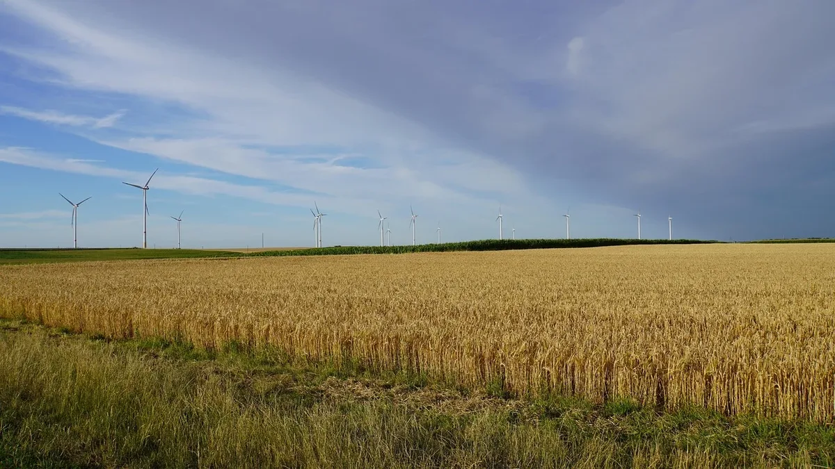 EWS, an Austrian agrivoltaics specialist, reports a 14% higher winter wheat yield in 2026 at its Sonnenfeld research site...