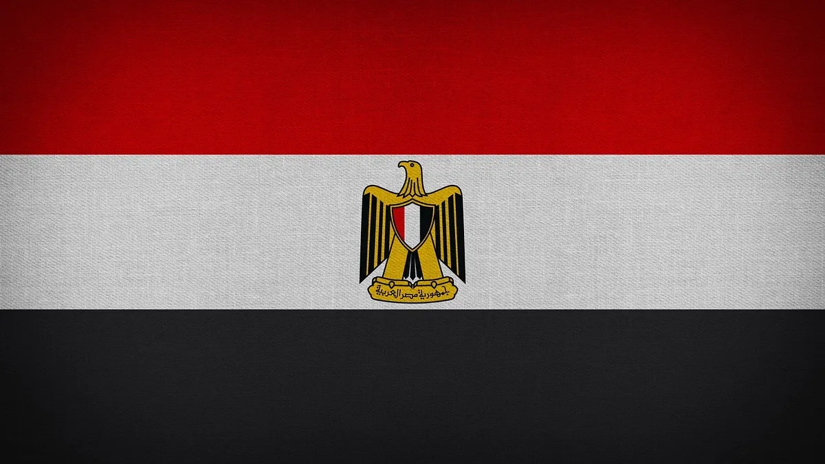 A report by the Association for Freedom of Thought and Expression (AFTE) finds Egypt’s prior licensing system under Law No