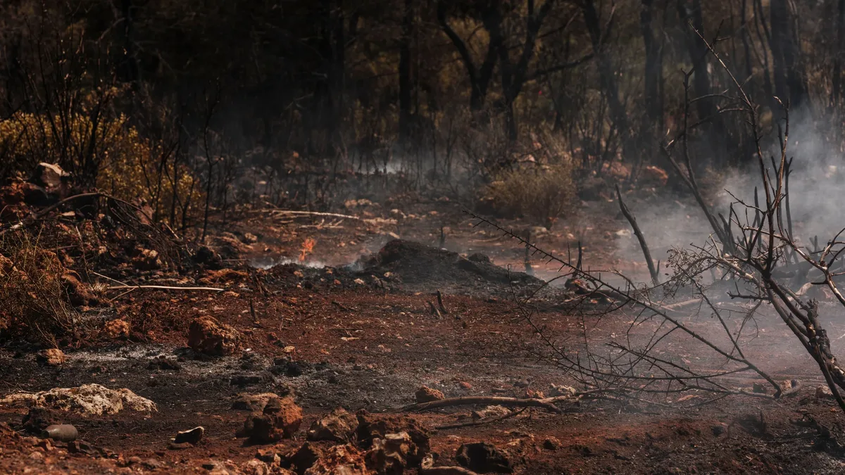 Month-long blaze scorched 2,500 hectares, prompting Cairngorms fire to expand fire-breaks, restore wetlands, manage...