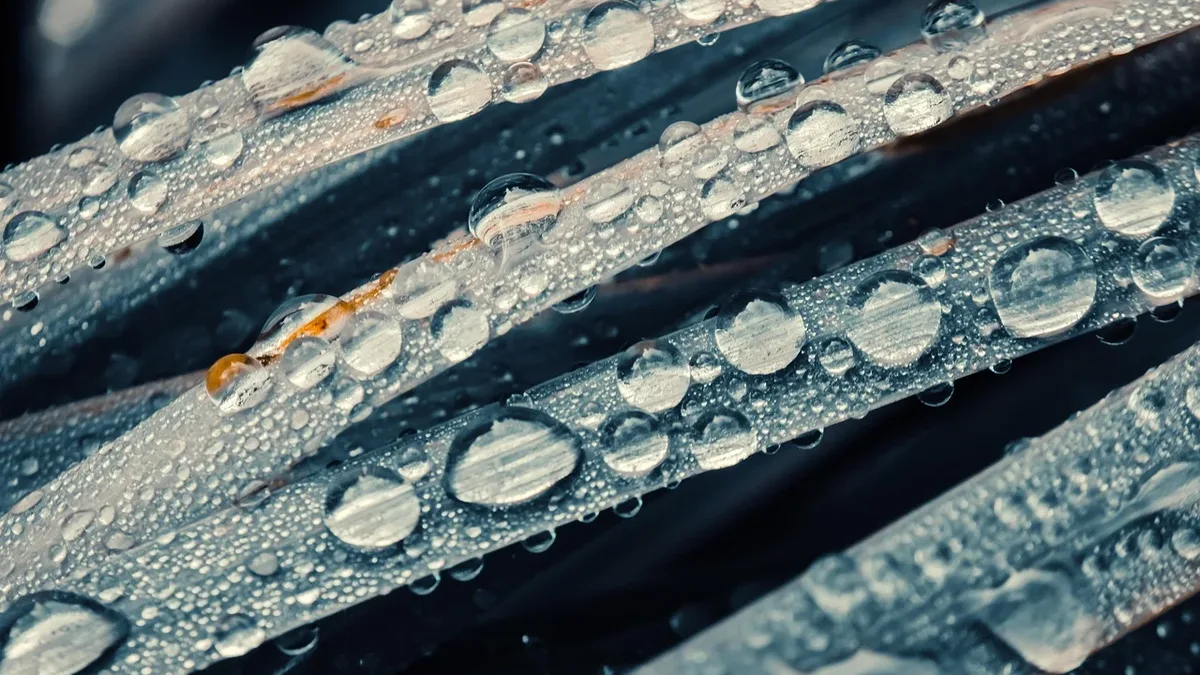 England and Wales are experiencing their driest July on record, leading to drought declarations and hosepipe bans affecting...