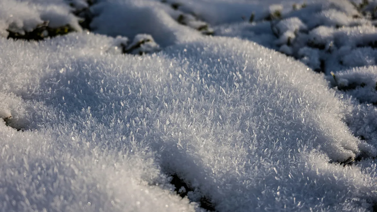 Climate: The ongoing El Niño event is among the strongest ever recorded and is still growing