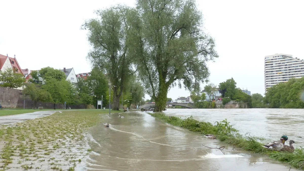 A 102-year-old woman died and around 90 people were rescued after a catastrophic flash flood inundated Madrigueras...